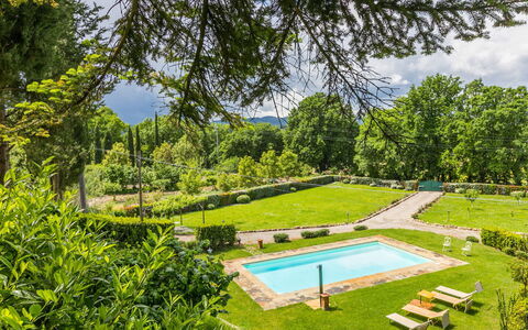 L'Orlo del Bosco: Pianta, Cielo, Acqua, Piscina, Paesaggio Naturale, Albero, Shade, Lotto, Erba, Tempo Libero