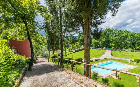 L'Orlo del Bosco: Pianta, Acqua, Cielo, Shade, Paesaggio Naturale, Nube, Albero, Lotto, Piscina, Erba