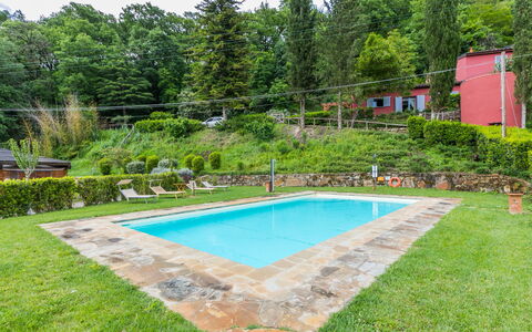 L'Orlo del Bosco: Pianta, Acqua, Proprietà, Piscina, Cielo, Albero, Shade, Rettangolo, Erba, Tempo Libero