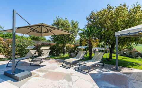Metallo: Pianta, Cielo, Shade, Mobili Da Esterno, Sedia, Arecales, Lettino, Piscina, Costruzione, Tempo Libero