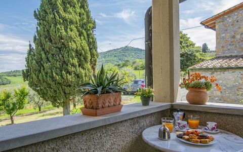 Il Sorbo: Nube, Cielo, Pianta, Proprietà, Vaso Di Fiori, Tavola, Finestra, Pianta Della Casa, Azzurro, Tavolo