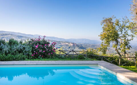 Belvedere: Acqua, Cielo, Pianta, Giorno, Piscina, Fiore, Azzurro, Paesaggio Naturale, Albero, Tempo Libero
