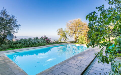 Belvedere: Acqua, Cielo, Pianta, Piscina, Azzurro, Albero, Corpo D'Acqua, Paesaggio Naturale, Erba, Tempo Libero