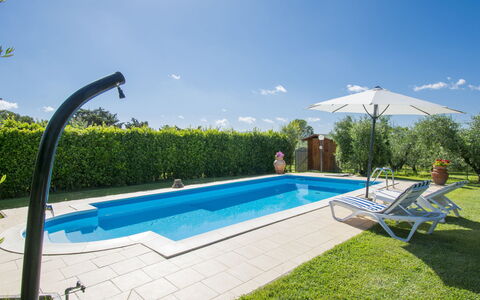 Oliveta: Piscina, Proprietà, Immobiliare, Tempo Libero, Casa, Erba, Villa, Vacanza, Casa, Costruzione
