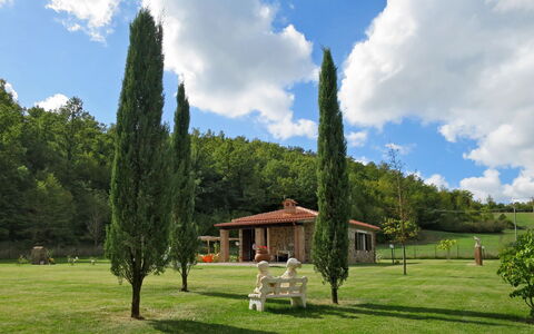 Dilia: Nube, Cielo, Pianta, Verde, Albero, Paesaggio Naturale, Lotto, Vegetazione, Erba, Costruzione