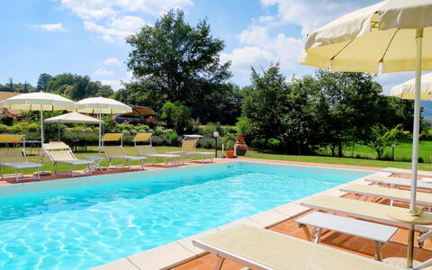 Dilia: Acqua, Nube, Pianta, Cielo, Proprietà, Mobilia, Piscina, Natura, Azzurro, Albero