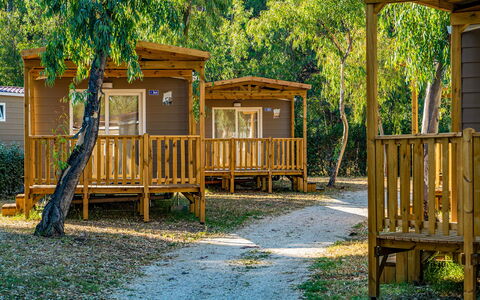 Lido di Ostia 602: Proprietà, Pianta, Natura, Shade, Botanica, Legna, Albero, Erba, Luce Del Sole, Biome