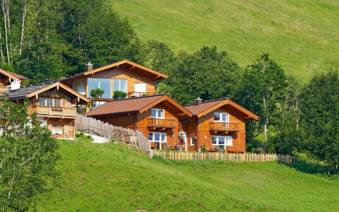 Flachau 617: Pianta, Costruzione, Proprietà, Finestra, Ecoregione, Albero, Casa, Paesaggio Naturale, Legna, Lotto