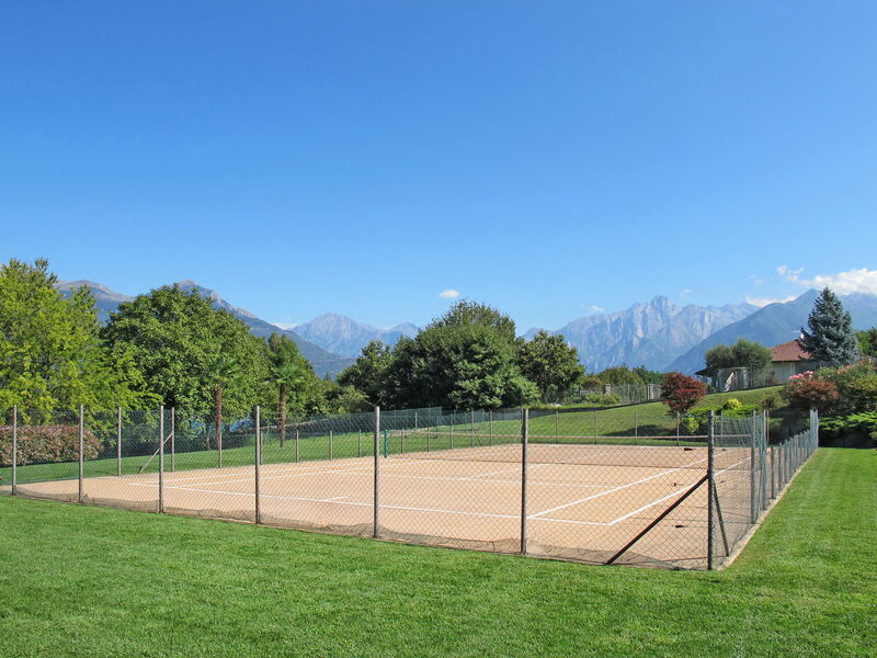 Belvedere (Cco420)