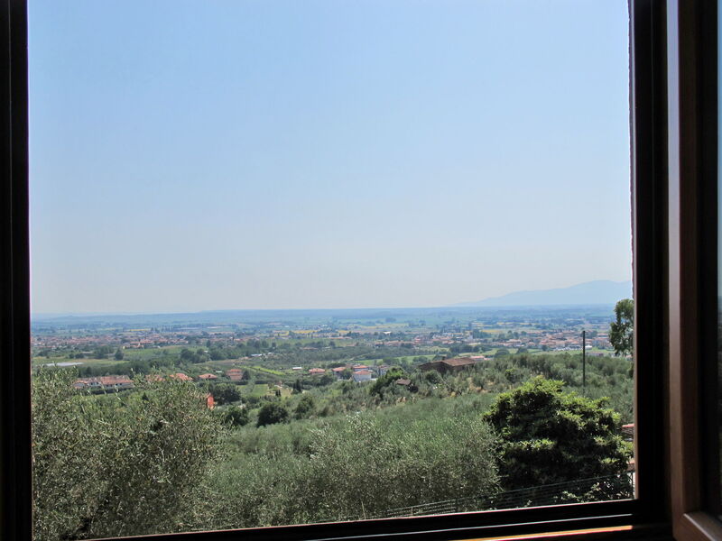 Monsummano Terme 651