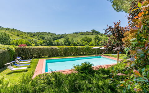 Castelfiorentino 649: Acqua, Cielo, Pianta, Piscina, Paesaggio Naturale, Mobili Da Esterno, Shade, Rettangolo, Albero, Eco Hotel