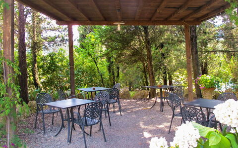 San Gimignano 694: Pianta, Tavolo, Fiore, Mobilia, Sedia, Shade, Albero, Botanica, Mobili Da Esterno, Tavolo Esterno