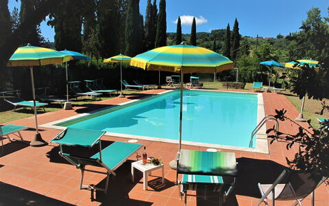 San Gimignano 694: Acqua, Tavolo, Mobilia, Proprietà, Piscina, Sedia, Cielo, Albero, Ombrello, Shade
