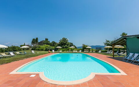 Pomarance 650: Acqua, Cielo, Proprietà, Piscina, Azzurro, Pianta, Albero, Corpo D'Acqua, Shade, Costruzione