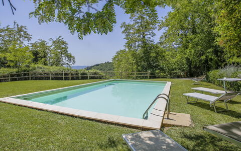 Florence 646: Acqua, Piscina, Rettangolo, Shade, Pianta, Cielo, Erba, Albero, Mobili Da Esterno, Tempo Libero