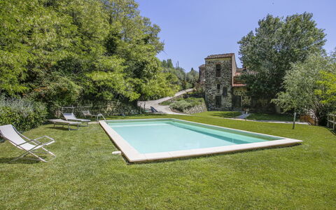 Florence 646: Pianta, Cielo, Piscina, Shade, Albero, Rettangolo, Erba, Arbusto, Urban Design, Ricreazione