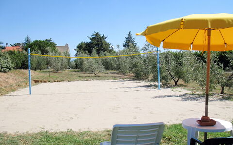 Cecina 613: Ombrello, Shade, Albero, Vacanza, Giallo, Erba, Fashion Accessory, Tavolo, Mobili Da Esterno, Estate
