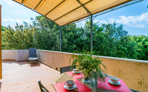 Beach Home: Mobilia, Proprietà, Tavolo, Pianta, Shade, Sedia, Mobili Da Esterno, Vaso Di Fiori, Interior Design, Illuminazione
