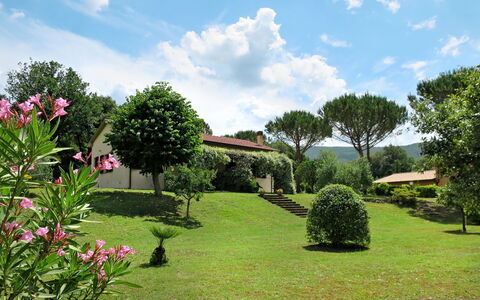 Roccastrada 622: Nube, Cielo, Fiore, Pianta, Proprietà, Comunita 'Impianto, Albero, Paesaggio Naturale, Botanica, Costruzione