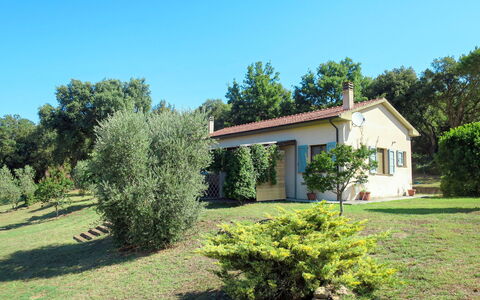 Roccastrada 622: Cielo, Pianta, Costruzione, Finestra, Albero, Botanica, Casa, Paesaggio Naturale, Lotto, Erba
