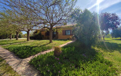 Roccastrada 623: Pianta, Cielo, Paesaggio Naturale, Albero, Lotto, Luce Del Sole, Nube, Woody Impianto, Arbusto, Paesaggio