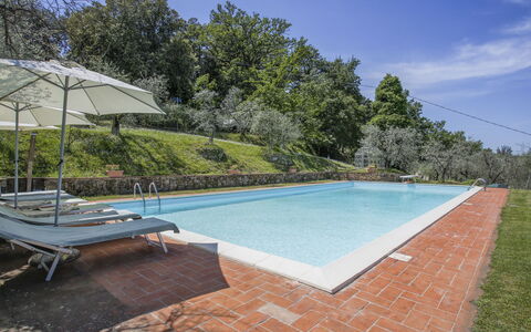 Montevarchi 613: Acqua, Cielo, Piscina, Albero, Rettangolo, Pianta, Mobili Da Esterno, Shade, Erba, Materiale Composito