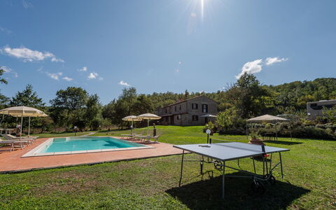 Alighiero Ii: Cielo, Nube, Pianta, Acqua, Tavolo, Albero, Shade, Lotto, Piscina, Paesaggio Naturale