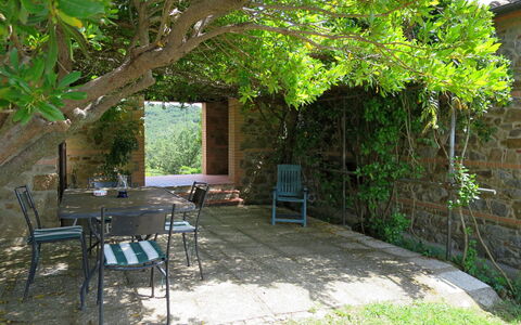 Lago Trasimeno 611: Proprietà, Albero, Cortile, Backyard, Casa, Botanica, Giardino, Costruzione, Pianta, Tavolo