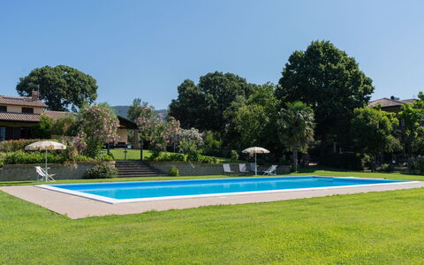 Lago di Bolsena 618: Pianta, Cielo, Acqua, Piscina, Azzurro, Albero, Costruzione, Lotto, Vegetazione, Rettangolo
