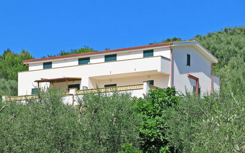 Villa Tavaglione: Proprietà, Casa, Costruzione, Architettura, Immobiliare, Zona Residenziale, Villa, Casa, Lotto, Albero