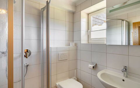 Mittersill 606: Parete, Bagno, Interior Design, Idraulico Fixture, Pavimentazione, Pavimento, Lavandino Del Bagno, Lavello, Idraulico, Rubinetto