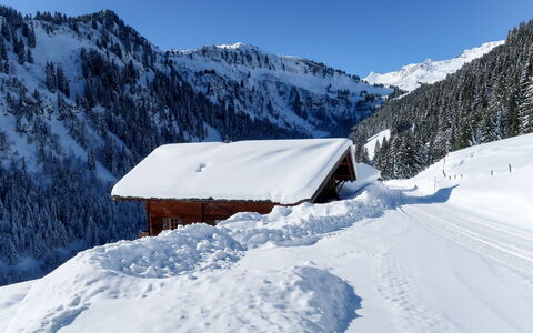 Naulaz: Neve, Inverno, Montagna, Geografia Montane, Bianca, Catena Montuosa, Fenomeno Geologico, Cielo, Alpi, Geomorfologia Glaciale
