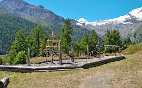 Saas-Fee 866: Cielo, Montagna, Ecoregione, Pianta, Paesaggio Naturale, Albero, Highland, Lotto, Erba, Geografia Montane