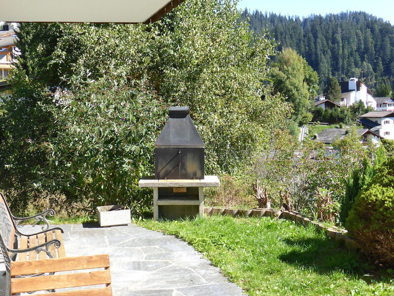 Schumellins (Laa400)