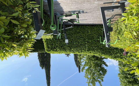 San Felice del Benaco 605: Verde, Vegetazione, Arbusto, Hedge, Groundcover, Giardino, Primavera, Shade, Landscaping, Sempreverde
