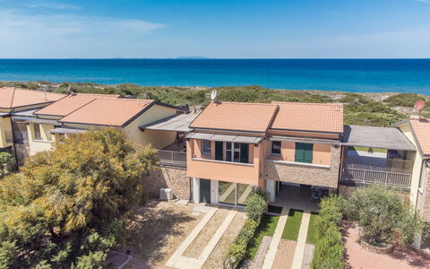 Baia delle Mimose: Cielo, Pianta, Costruzione, Giorno, Proprietà, Albero, Urban Design, Quartiere, Zona Residenziale, Woody Impianto