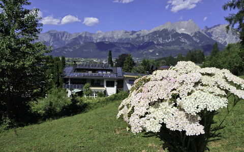 Saalfelden am Steinernen Meer 613: Geografia Montane, Fiore, Montagna, Catena Montuosa, Hill Station, Giardino, Alpi, Cresta, Valle, Vertice
