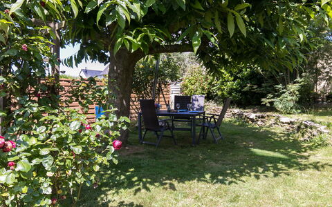Ty-Rozen: Pianta, Fiore, Comunita 'Impianto, Albero, Erba, Shade, Woody Impianto, Arbusto, Paesaggio, Groundcover