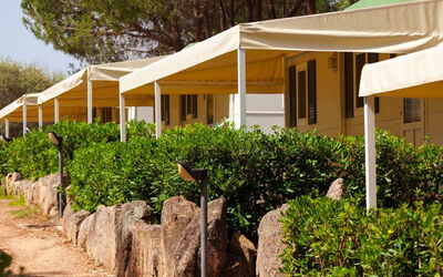 Centro Vacanze Isuledda 651.2: Costruzione, Cielo, Pianta, Tavolo, Finestra, Azzurro, Shade, Architettura, Legna, Sedia