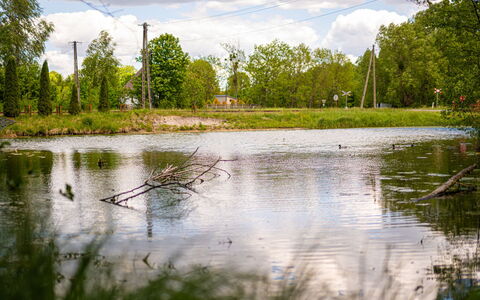 Zatylówka Dom Na Wyspie: Acqua, Risorse Idriche, Verde, Corpo D'Acqua, Natura, Albero, Ambiente Naturale, Paesaggio Naturale, Vegetazione