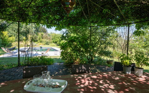 Carla: Pianta, Sedia, Shade, Albero, Vaso Di Fiori, Mobili Da Esterno, Erba, Tempo Libero, Tavolo, Paesaggio