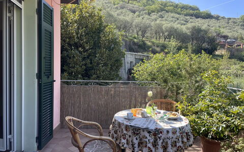 Casa dei Nonni (Imp425): Pianta, Proprietà, Tavolo, Costruzione, Mobilia, Cielo, Fiore, Tavolo Esterno, Sedia, Mobili Da Esterno