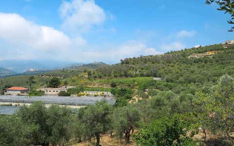 Poggi 624: Nube, Cielo, Pianta, Montagna, Ambiente Naturale, Paesaggio Naturale, Lotto, Albero, Erba, Cumulo