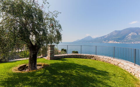 Brenzone 699: Cielo, Pianta, Proprietà, Acqua, Recinzione, Paesaggio Naturale, Lotto, Albero, Erba, Lago