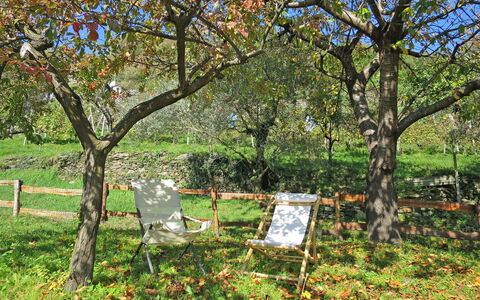 Baita Anita: Pianta, Comunita 'Impianto, Albero, Botanica, Paesaggio Naturale, Fiore, Lotto, Erba, Deciduo, Groundcover