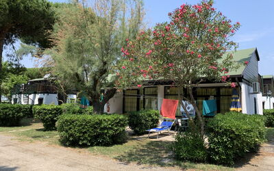 Alloggio:&nbsp;Bungalow 651.1