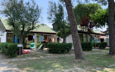 Alloggio:&nbsp;Bungalow 651.1