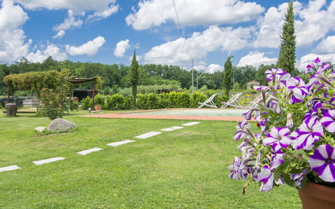 Daussiè: Giardino, Erba, Giorno, Cielo, Prato, Fiore, Pianta, Botanica, Primavera, Albero
