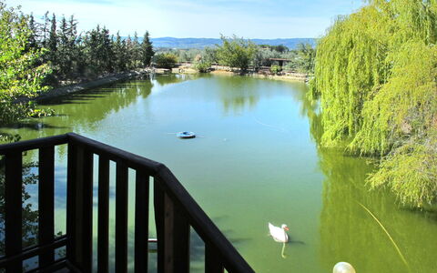 Certaldo 653: Acqua, Natura, Paesaggio Naturale, Risorse Idriche, Lago, Verde, Riserva Naturale, Ambiente Naturale, Stagno, Fiume