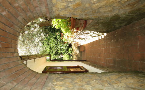 Ulivo: Camera, Architettura, Parete, Costruzione, Soffitto, Arco, Casa